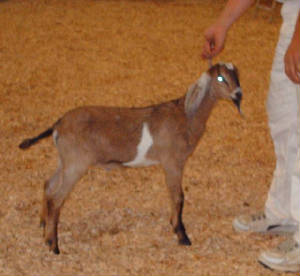 jerimiah6wks.jpg