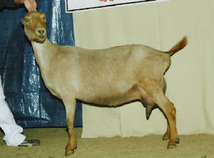 mo-2005.jpg